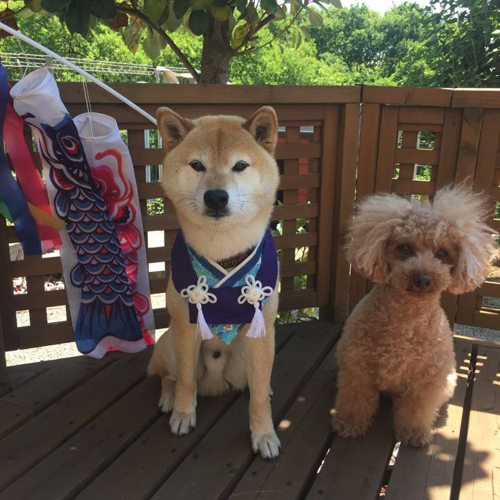 C4fe2b17 a636 4843 9cc4 ab1c19920c78