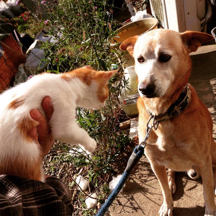 C4feef7a ecfe 4808 bc47 0c8d1d4b6373