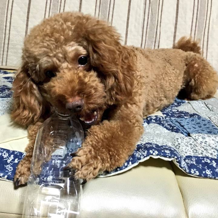 C4feef9b 9812 492a 8d58 d3cf1132c3e3