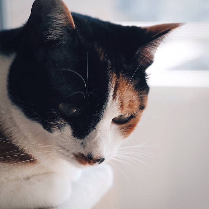 C4ffd509 b0b1 41ba b785 f74fabf55f5c