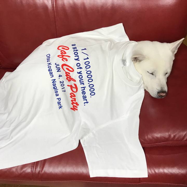 C5000dd1 c5da 4175 bf9b 6a85e5095b58