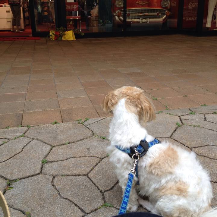 C5002a6b 4d61 4bc0 b768 ba235c393a46