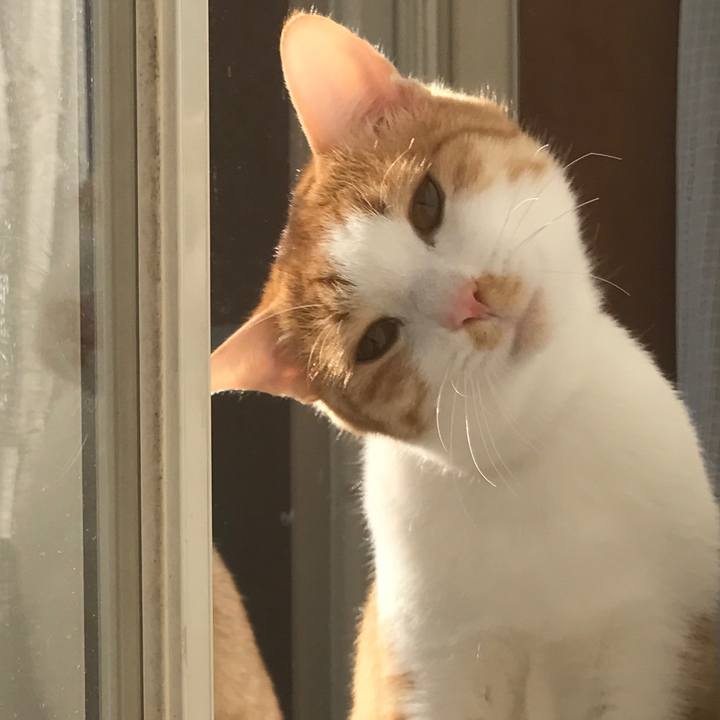 C50030cf e0eb 44c5 9d1d 48b85781c8a7