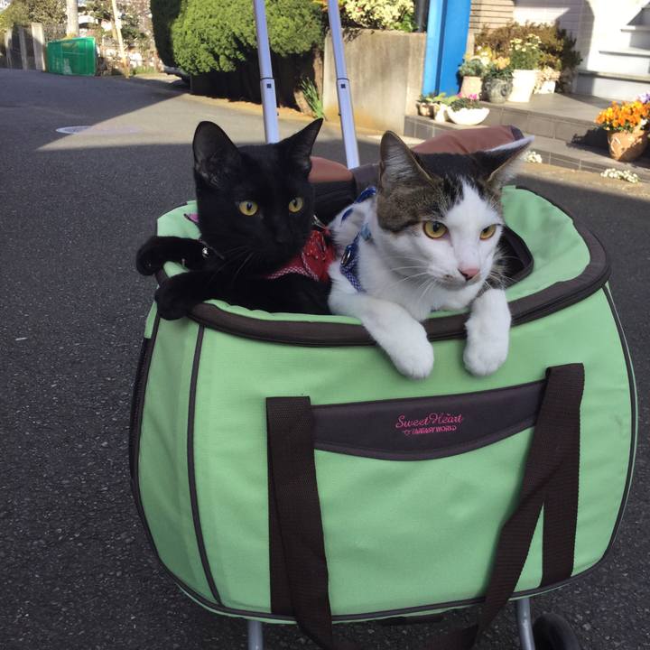 C5005d2a d16b 412c b746 5e196efe8345