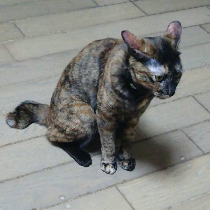 C500b1ae 6c2d 49d2 8d77 d31503492175