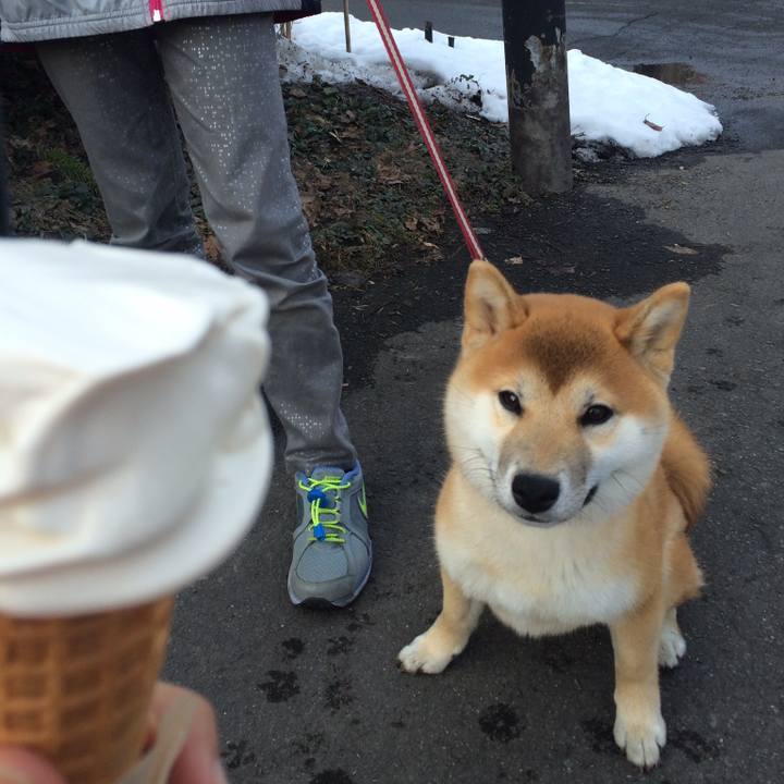 C500ed7c d1fb 4d2d 8ff9 b1d77d77b0d7