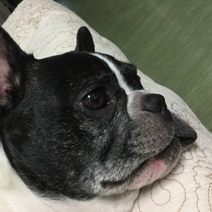 C5019964 aa39 43f3 9f48 96c34e4781c7