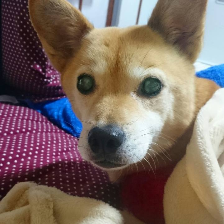 C5019b8e baa6 45e1 85a3 3ce388fbe2fd