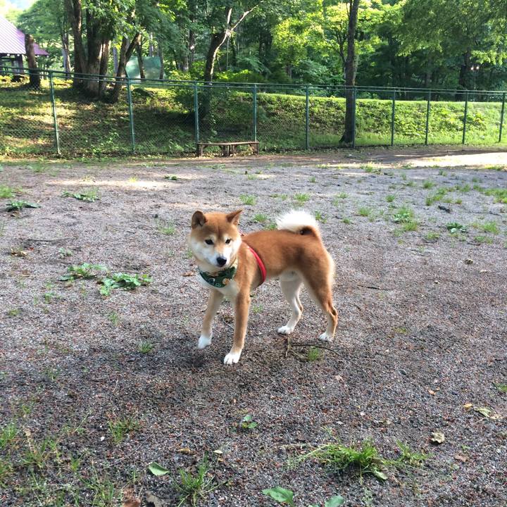 C50271a7 a023 48a4 8984 d4e66ef68a68