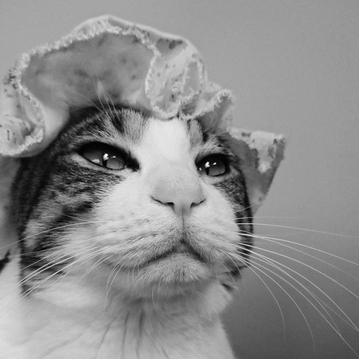 C503b140 7fb4 48b2 96eb 09895596115a