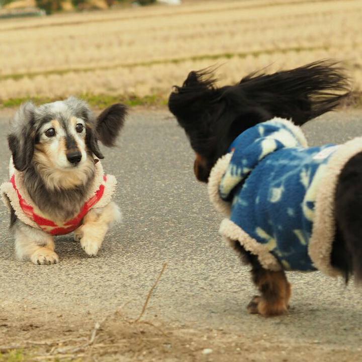 C503b9ee bc1b 4ebe 8762 f7b109c2007c