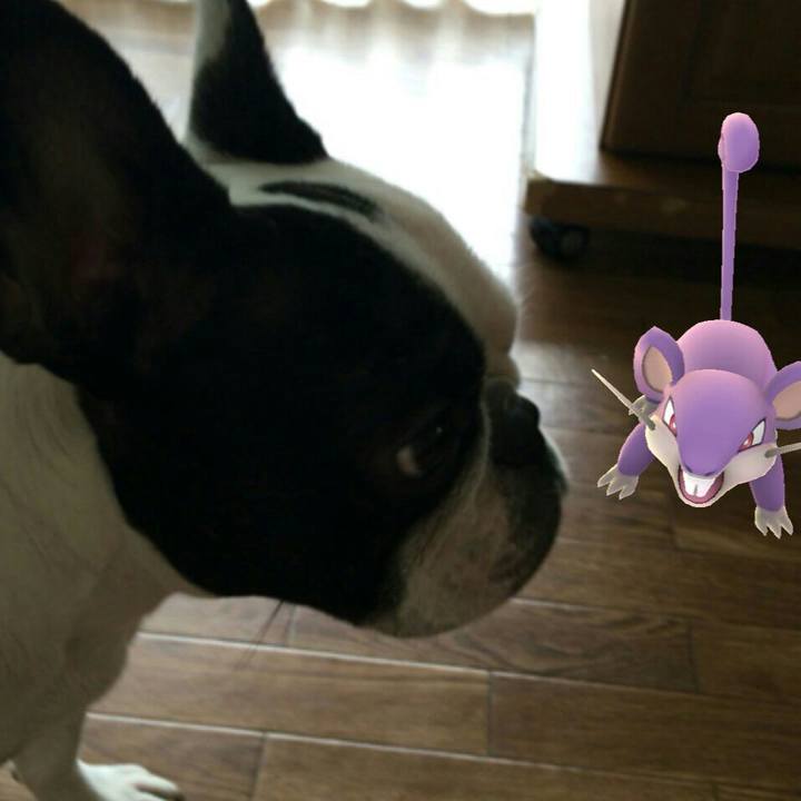 C504222e ce53 40ad af1d 101190b8e579