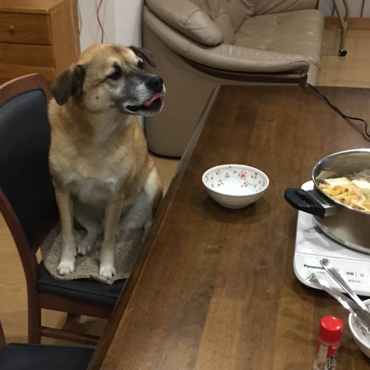 C5042bc4 4693 4482 91b1 b79c7945a5ea