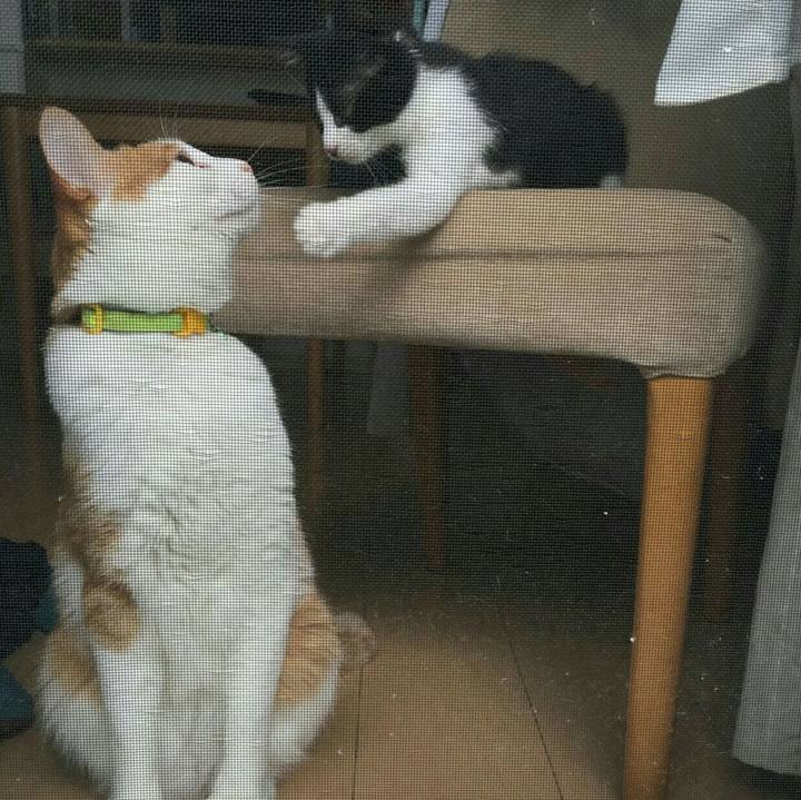 C5043934 0924 4a51 a2ae fdda41dd6529