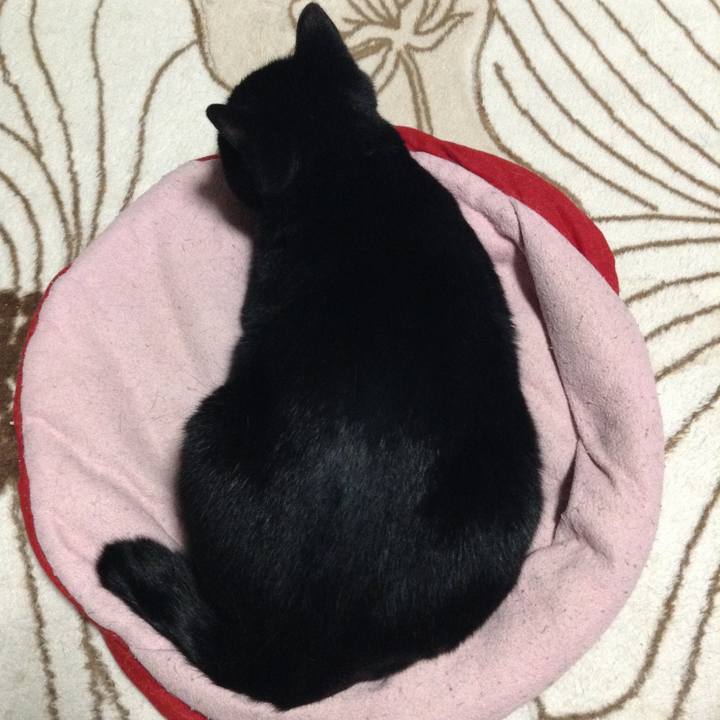 C5043fee 7d25 46d9 bdb3 312bd4b979a1