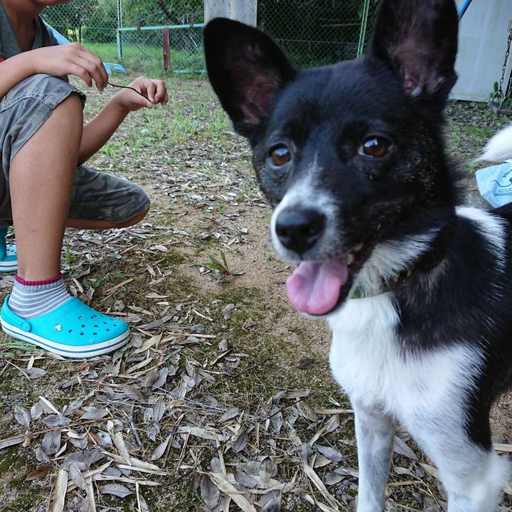 C5046b38 3d9d 410f a8f0 e37a495f519c