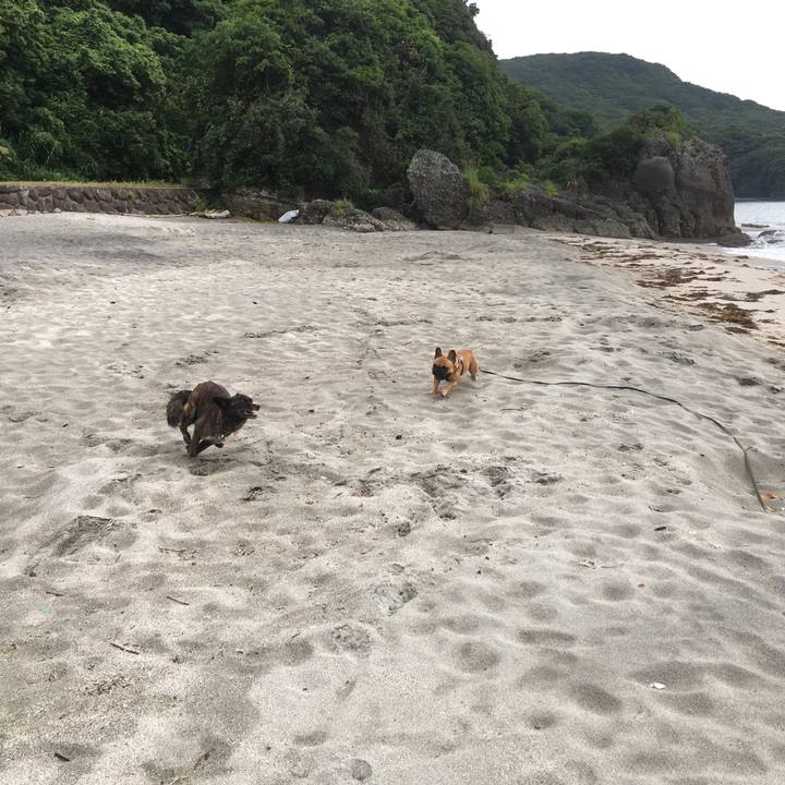 C504de7d 8d30 4d02 b4c8 a90a2c68a7da