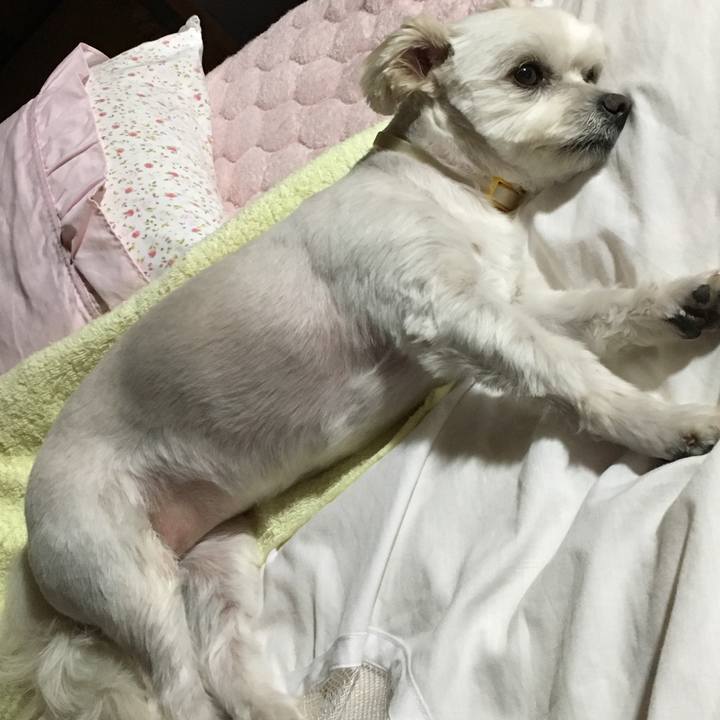 C5052ca3 5bd4 4248 a8d8 20d8e13dc7ea