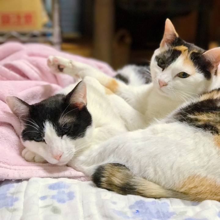 C50530f0 50ec 4469 95b7 6aeacc7d3a1e