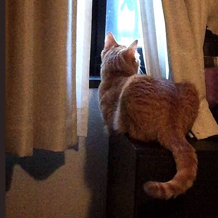 C505c7b7 d077 420b 8d0c 704c212ff6b6