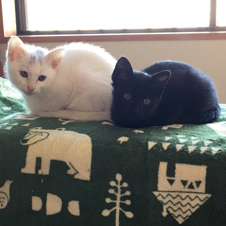 C506661c 04ca 4057 8f6c e0e2e0f2f7da