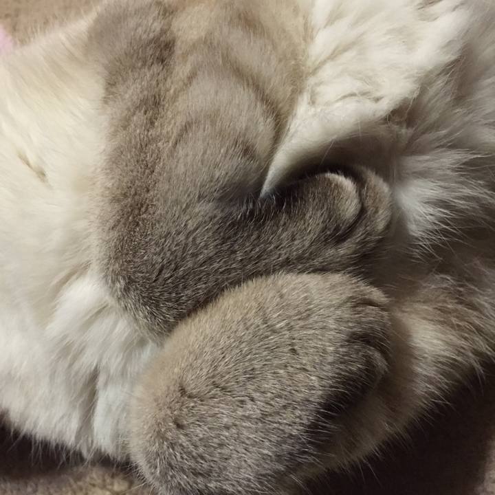 C506910b 3d30 451f b980 5ac5bf8fc8c2