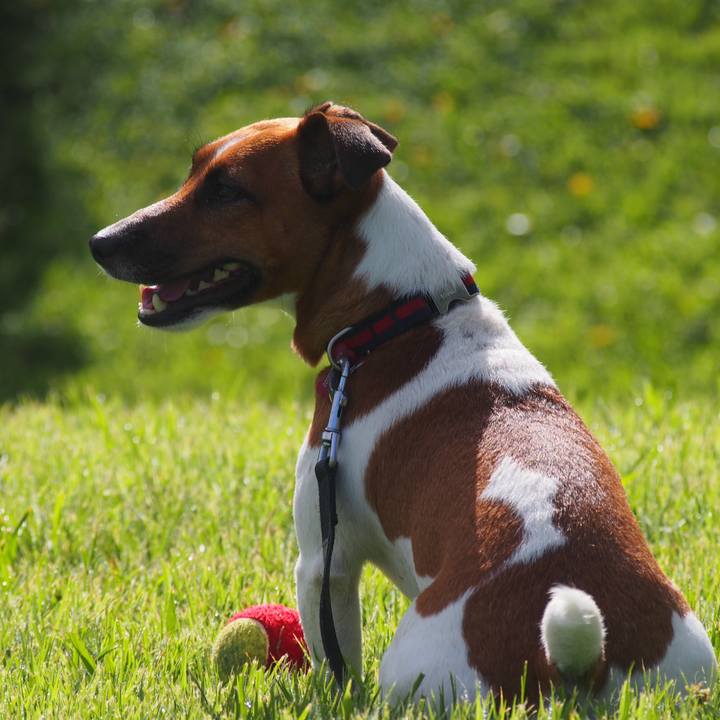 C506a174 0ce6 4018 8a69 7bd45b03d8e0