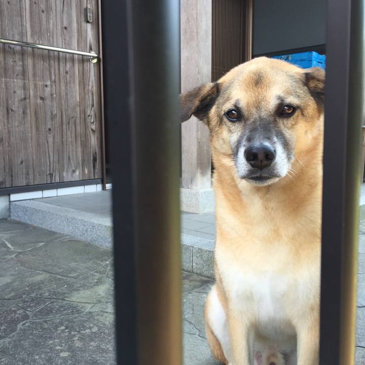 C506e674 3312 429c 90ce ef49ec144b4f