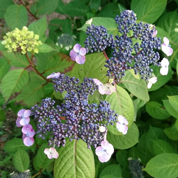 C5070a83 e82c 49af aad2 4d795d2862ed