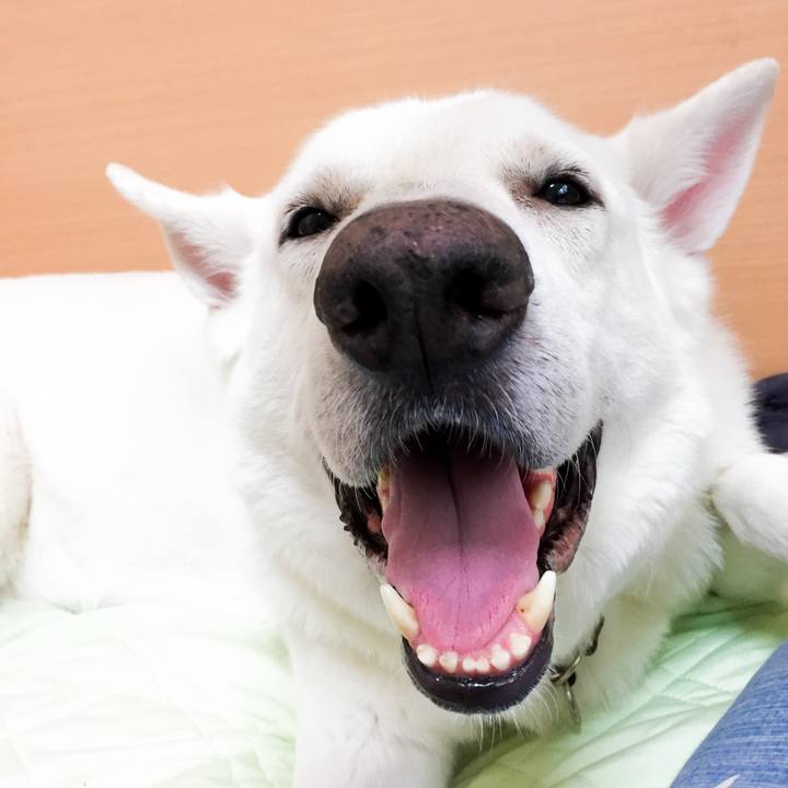 C507399d 38f5 431a 98b5 9757ac7d1bca