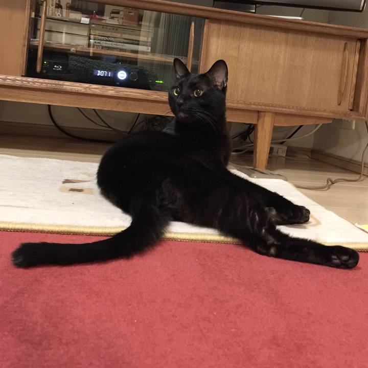 C5076f0c 0370 410b a7ac 9c36eaaf92d9