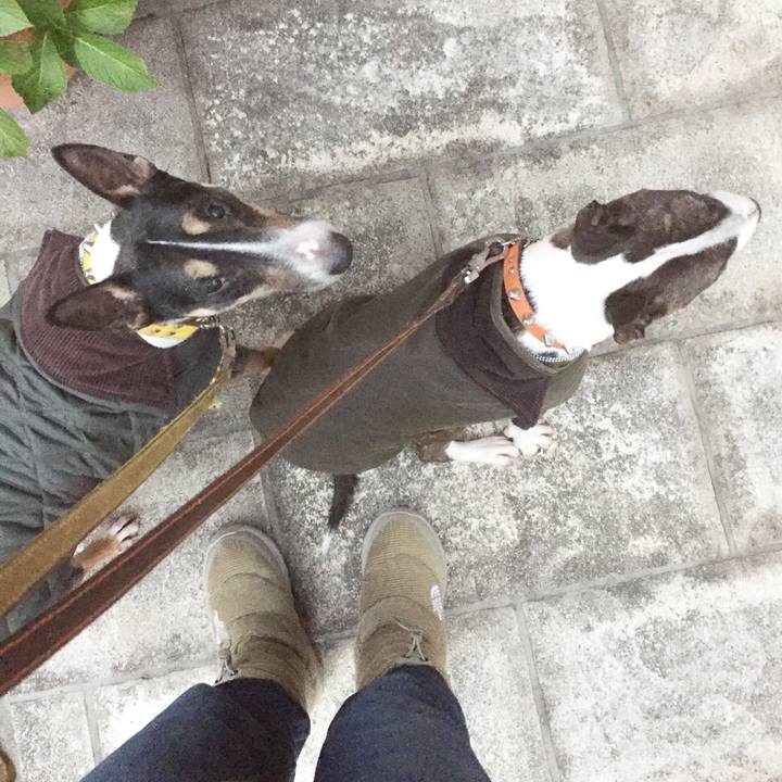 C507e125 6c4f 44ec 88a0 3da5cc5a0aa0