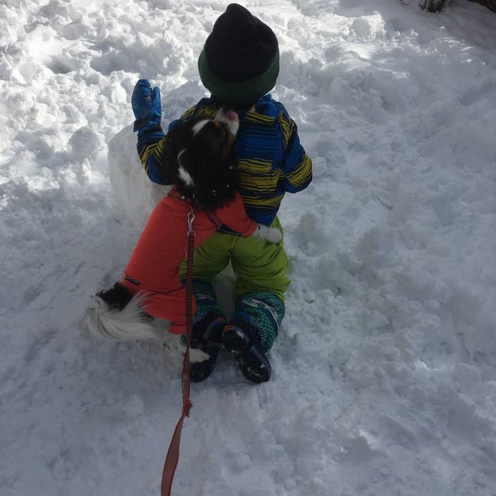 C509466f 0c6b 46dc a57c 759d72286d0f