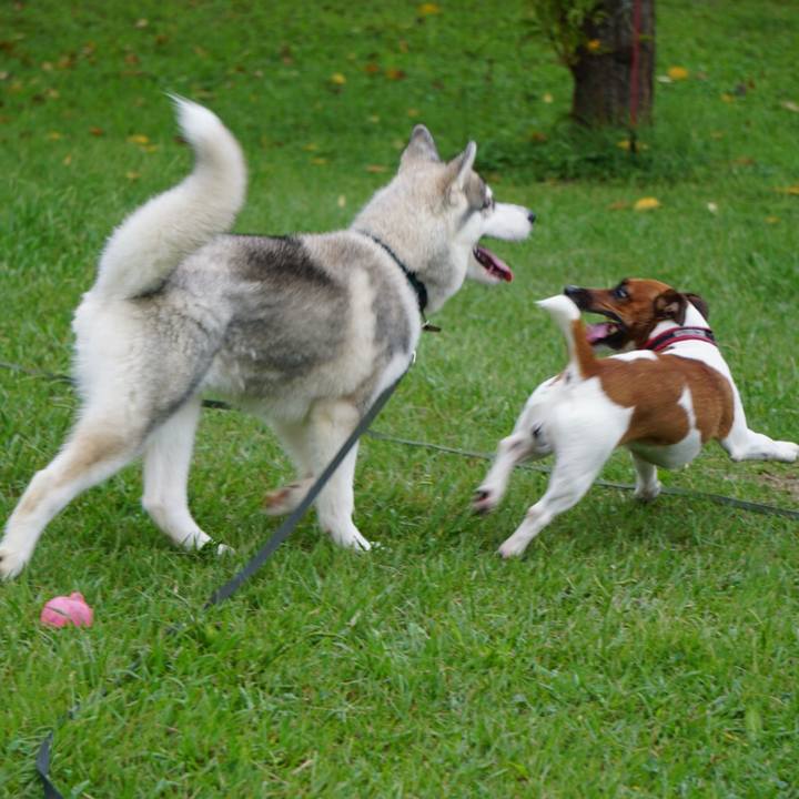 C50962a4 de29 4c19 ad43 1d4c2ef93d18