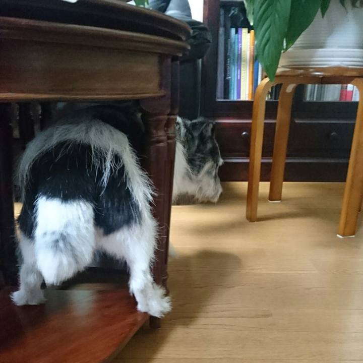 C50998a1 e136 4bb9 90a6 7504f227ad66