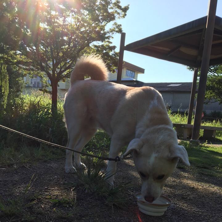 C509af5b dfdb 4054 8208 3bc8b11e0d5c