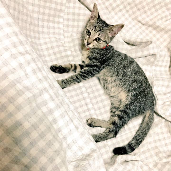 C50a0ce3 a159 402d 8147 03c23ae3f0be