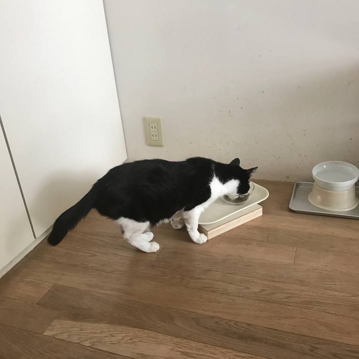 C50a3040 c044 4d72 81b1 a6f746a71476