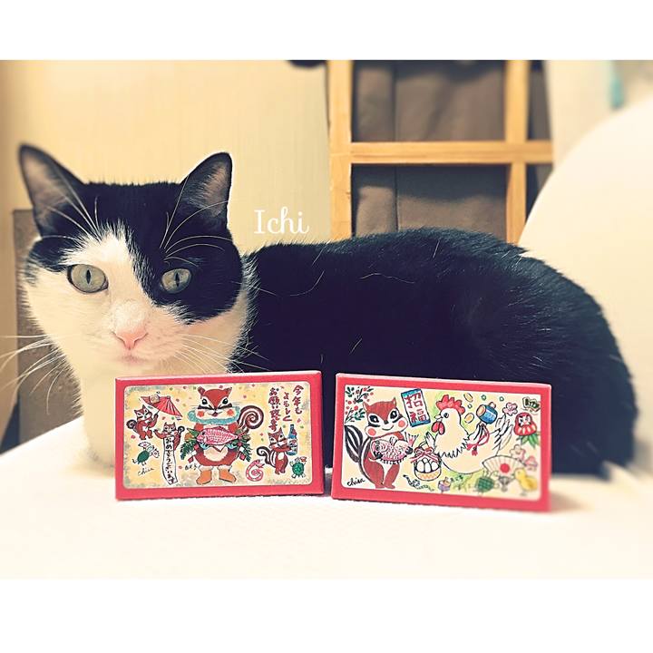 C50adb7e 223a 4e3e b3f4 4dcb7c735af0