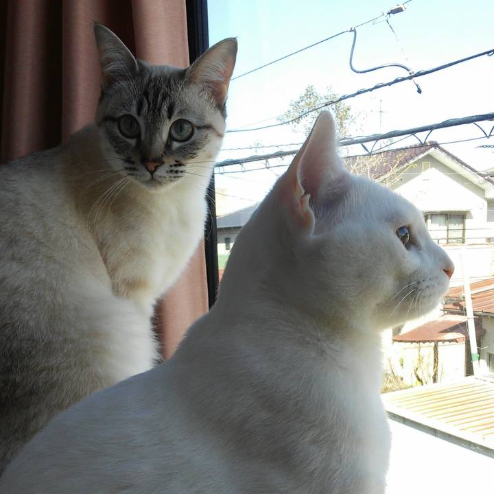 C50b5980 d0f8 4f73 8a99 2f3e7a5ae02c