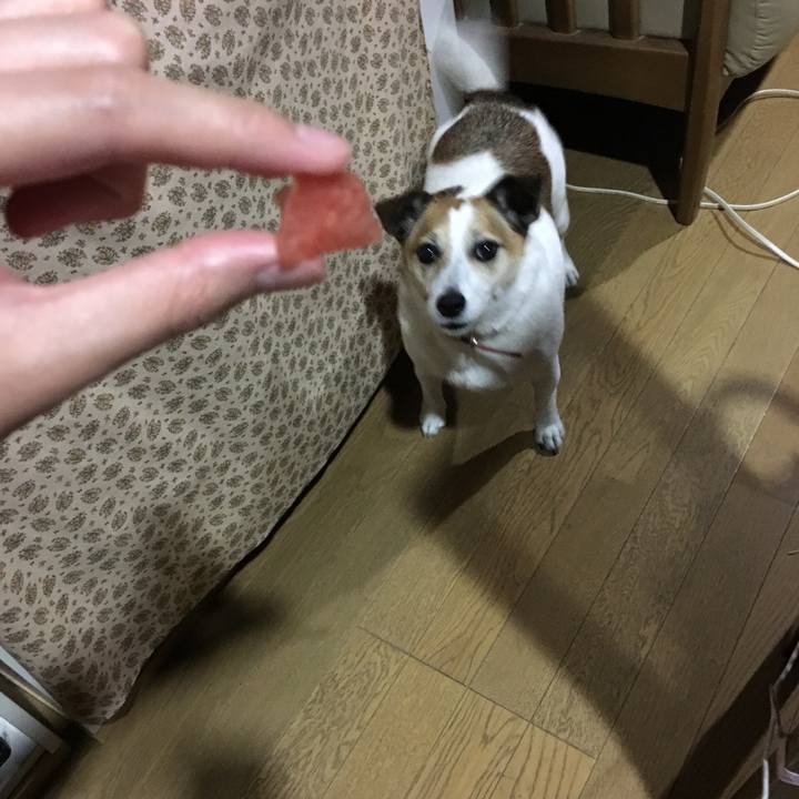 C50b9287 027e 40eb b3fd 0f97cd681271