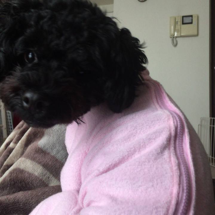 C50bf75a 64bc 42d4 9327 495b3406cbbe