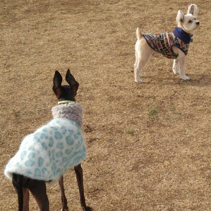 C50c5929 b6e5 4696 a0b5 c36b0cb8bb6f