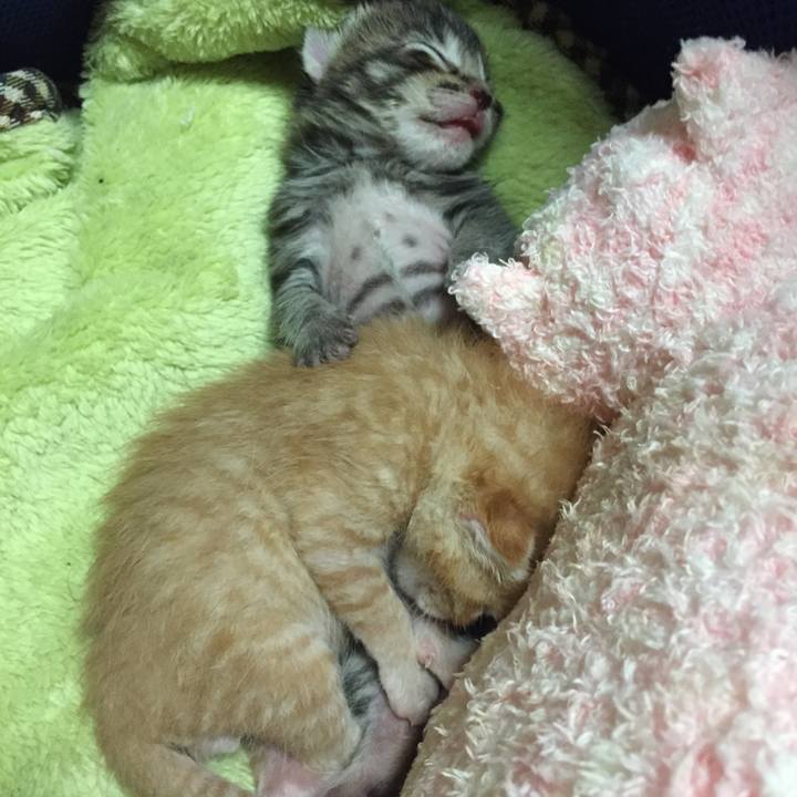 C50d5f5d b31b 4c20 8fb6 d3437556ddc0