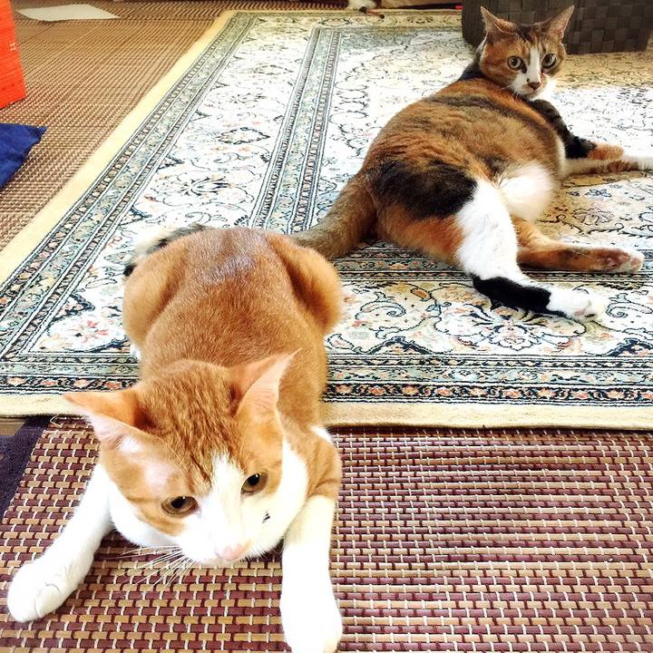 C50ef623 c650 4a82 9698 e8d0d0bcaeac