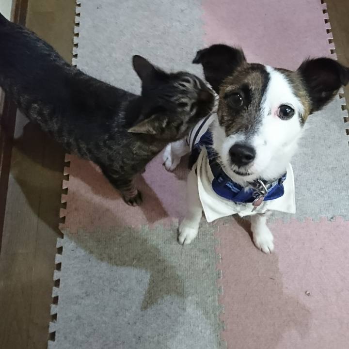 C50f51a8 8181 49c6 b1cb 545385c7949e