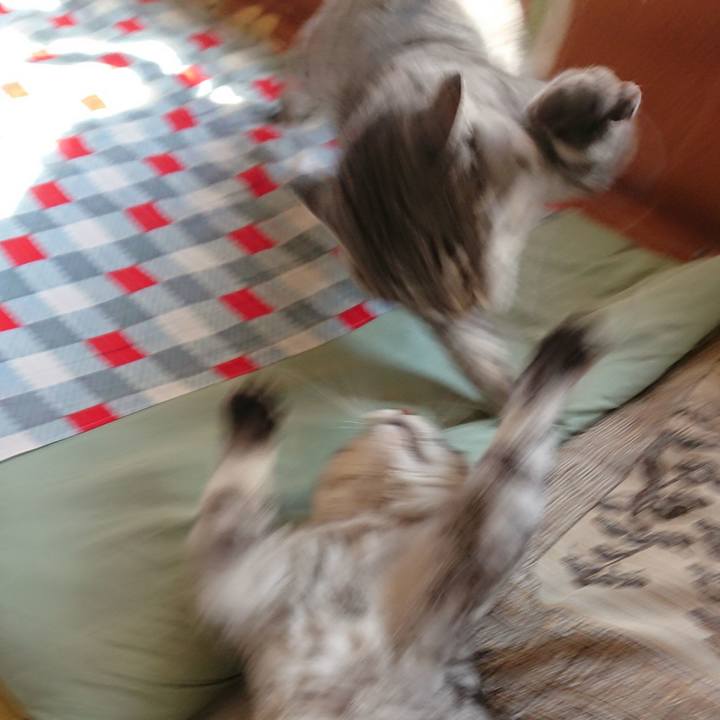 C50fc1e9 29b0 4532 9119 0846204c9df9