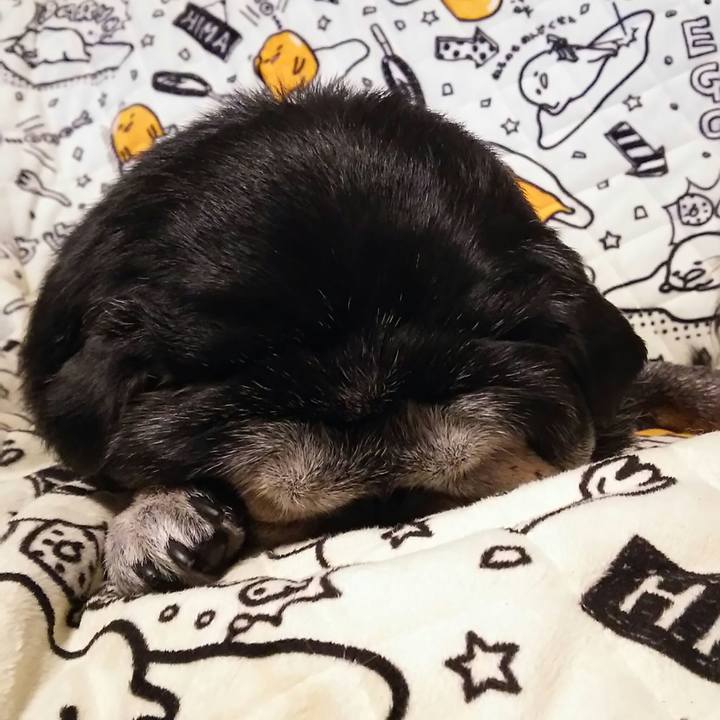 C50fd62e 5e12 42d7 ba35 7edeac2bc518