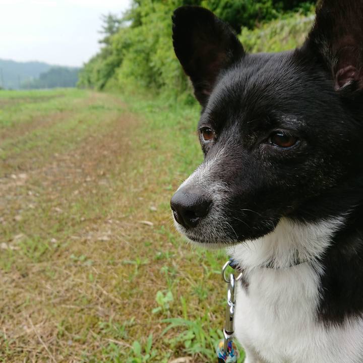 C50fdb8f e6a8 4bd3 add1 7712073e7db5