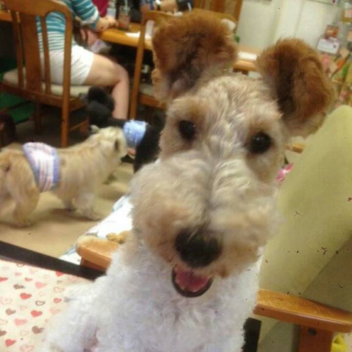 C510fcb3 04e4 49d6 acb9 4036008ab95c